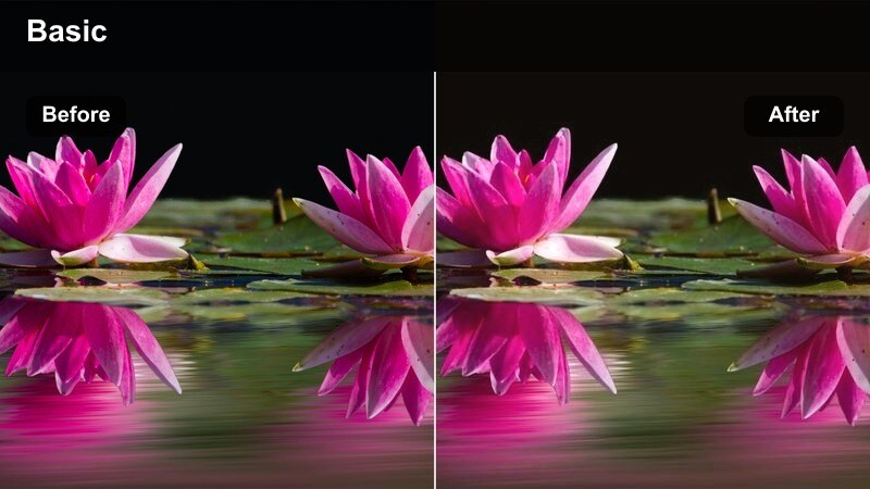 Creator in park at dusk with warm soft glowing skin tone.