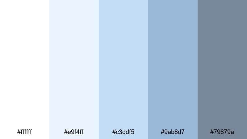 pastel icebreaker white blue gray color palette with hex codes