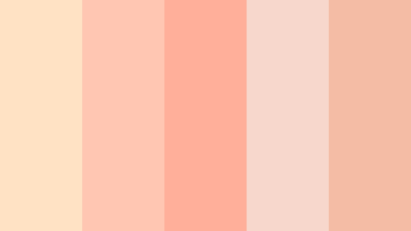 peach petal morning pale melon color palette with hex codes