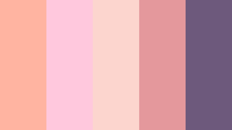 peach reel glow reels color palette color palette with hex codes