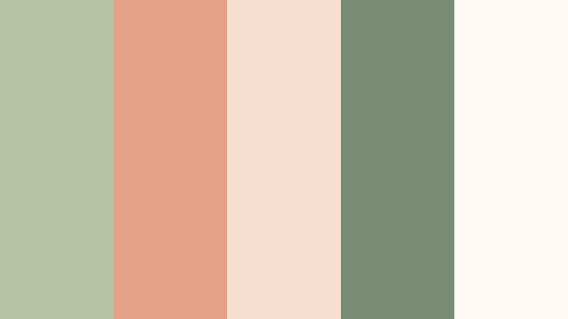 peach sage whisper sage green and terracotta home decor store color color palette with hex codes