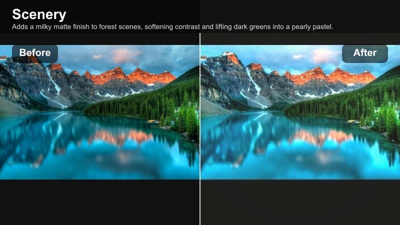 Soft matte forest scene with pearly pastel greens and low contrast