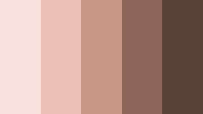 petal latte mist pink and brown skincare brand color color palette with hex codes