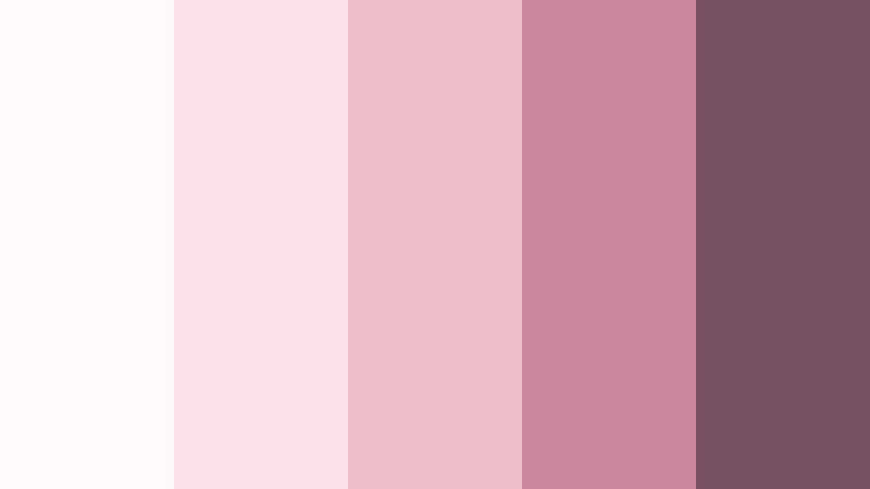 petal whisper valentine color palette color palette with hex codes