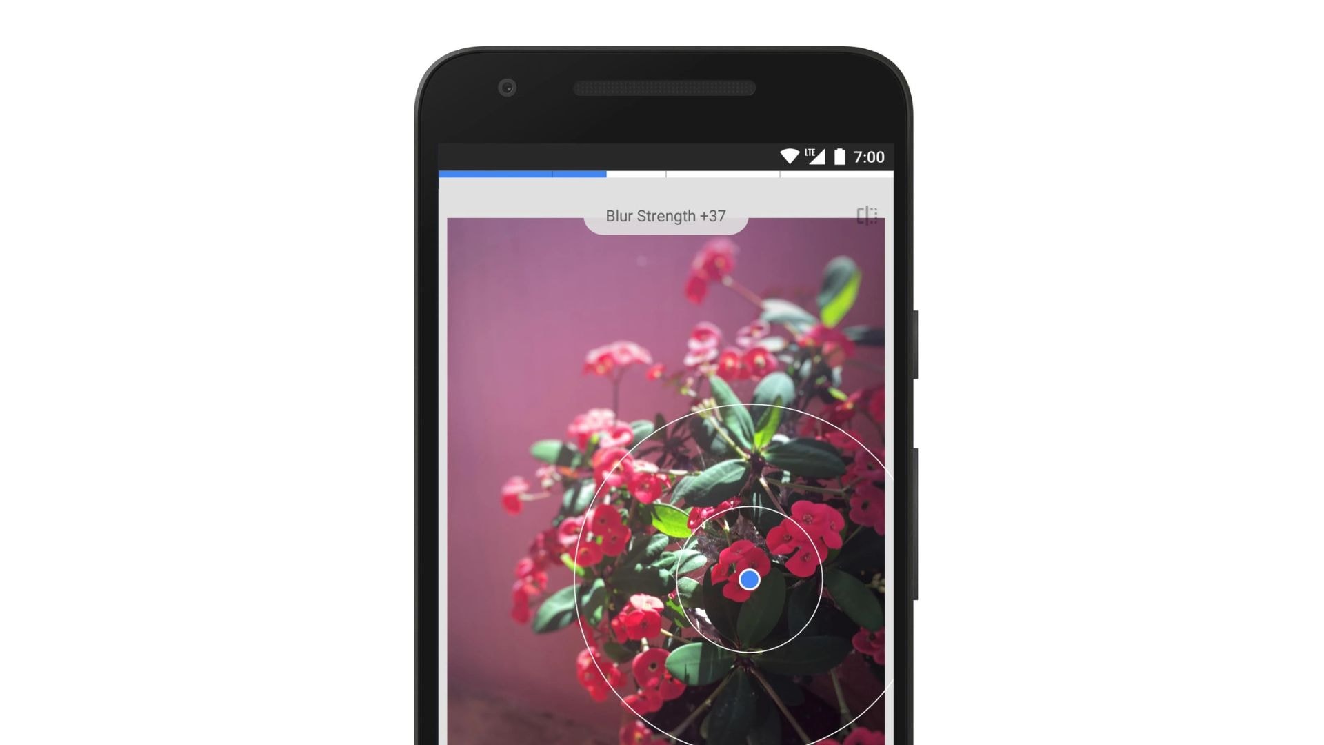 snapseed blur photo background editor