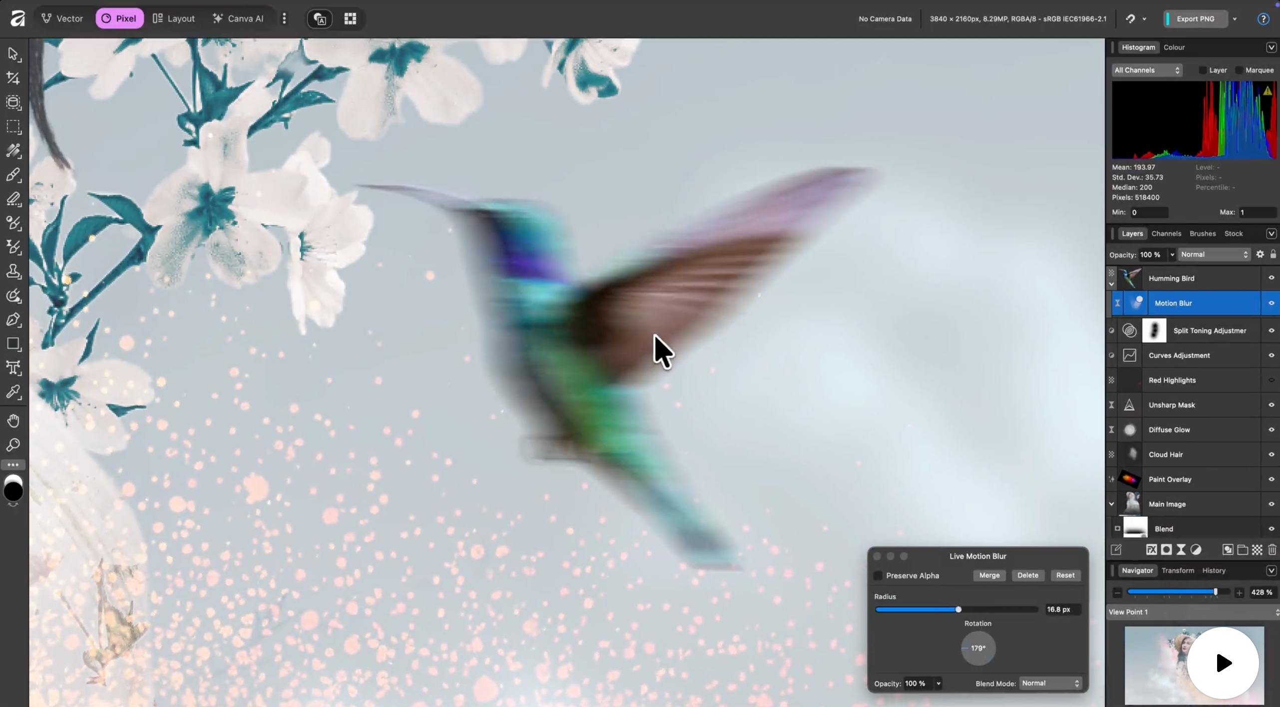 affinity blur photo background editor