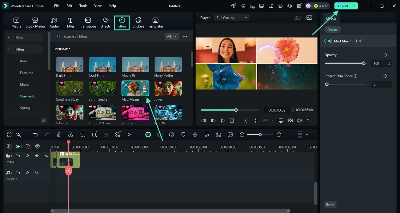 filters enhance visual appearance and export