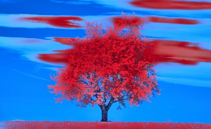 red design on videos
