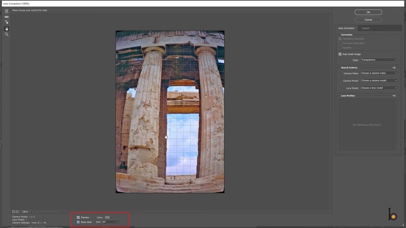 turn on preview and show grid