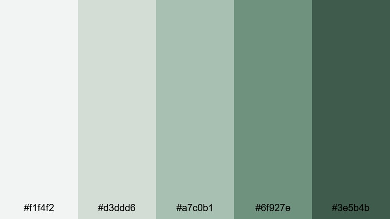 pine forest trail scandinavian color palette with hex codes