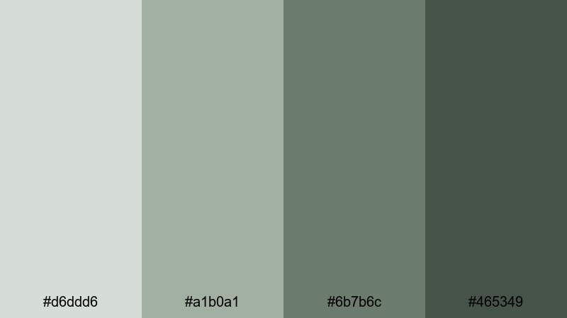 pine needle overcast gray green color palette with hex codes