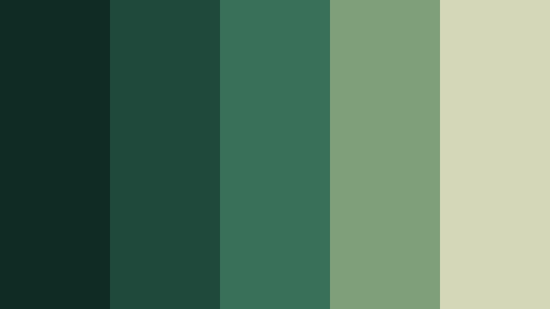 pine trail forest color palette color palette with hex codes