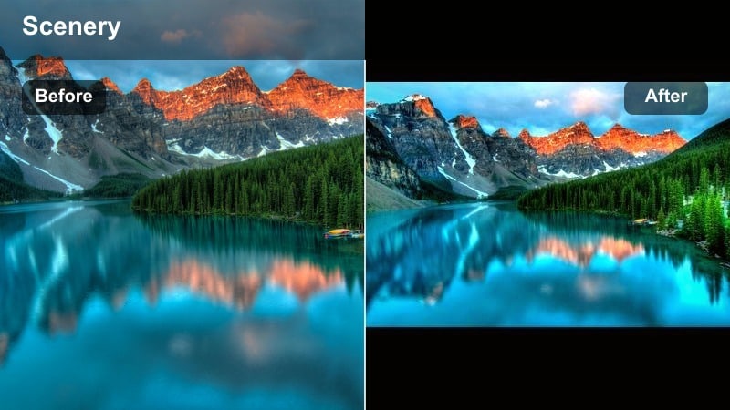 Pine forest trail graded with a matte cinematic filter