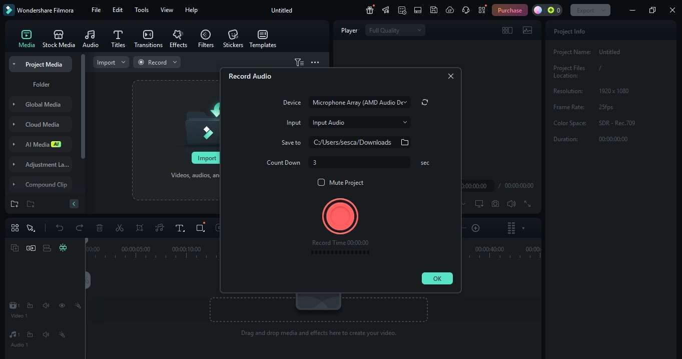 podcast remote recording with audio only