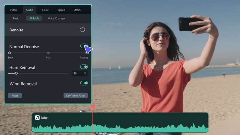 filmora audio denoise tool