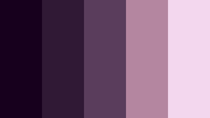 polar night plum winter color palette color palette with hex codes