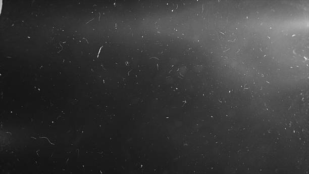 Film grain and dust overlay pack in Filmora.