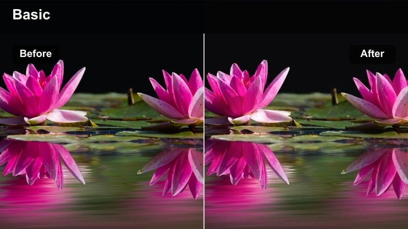 Warm bright poolside scene with sun flare and teal water.