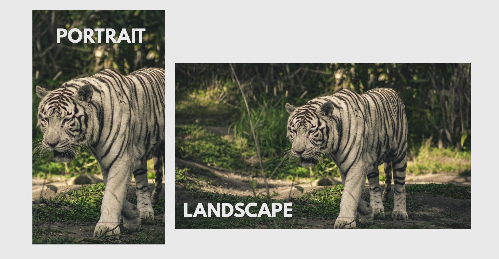 portrait vs landscape orientation