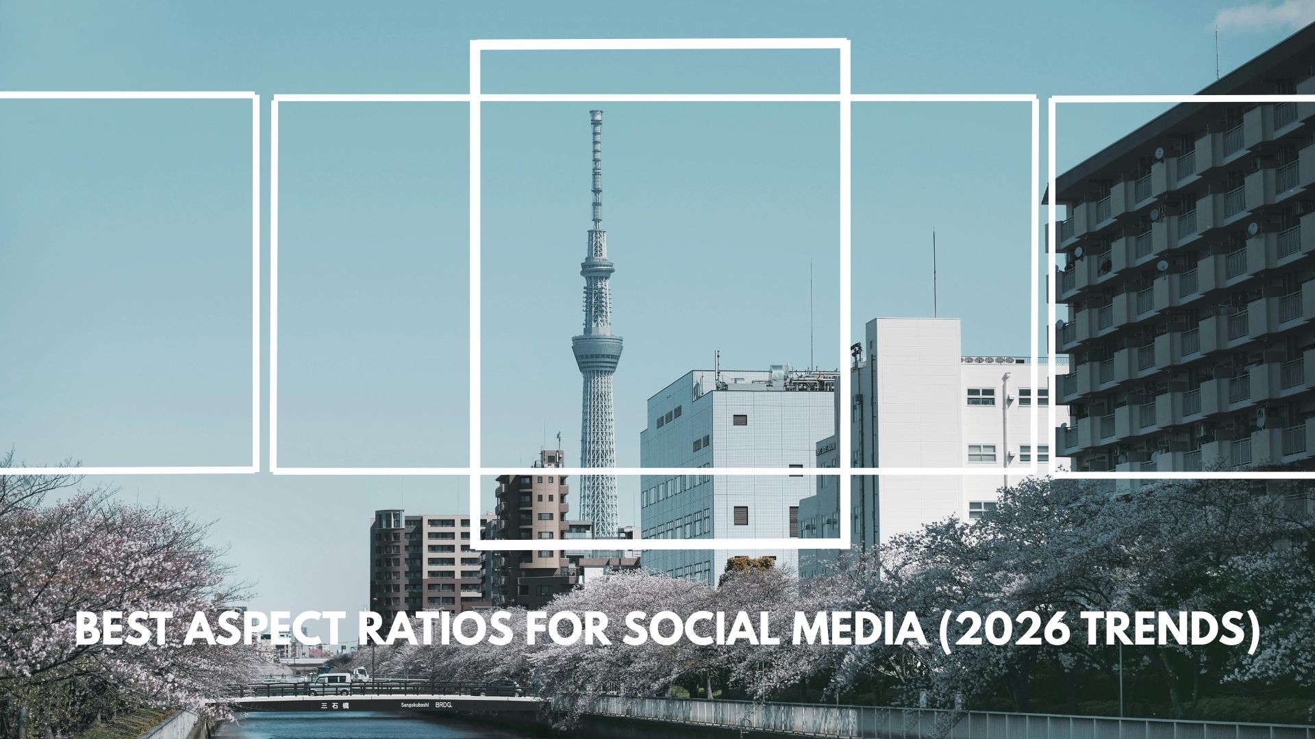 best aspect ratios for social media 2026
