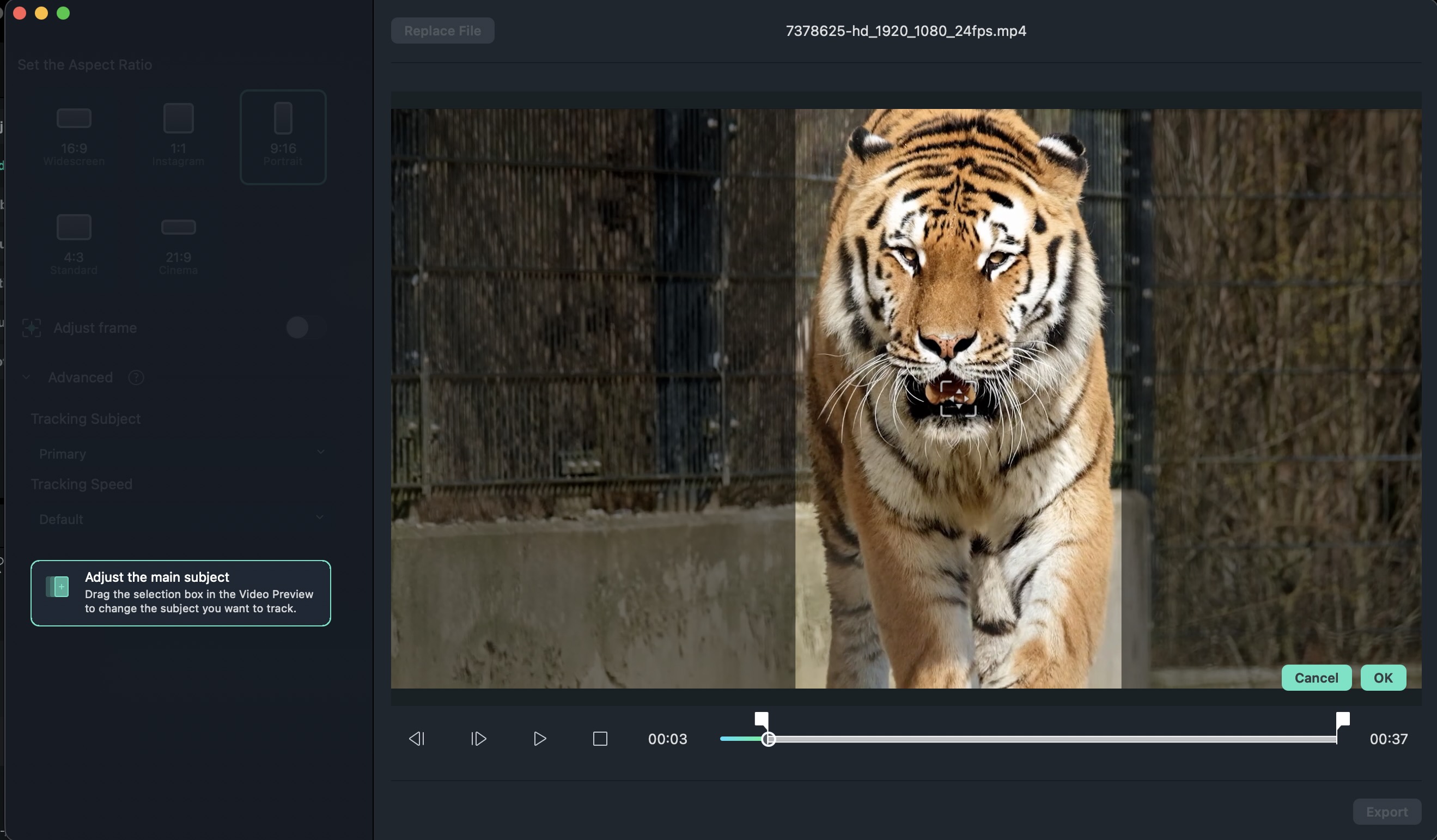 adjust the main subject