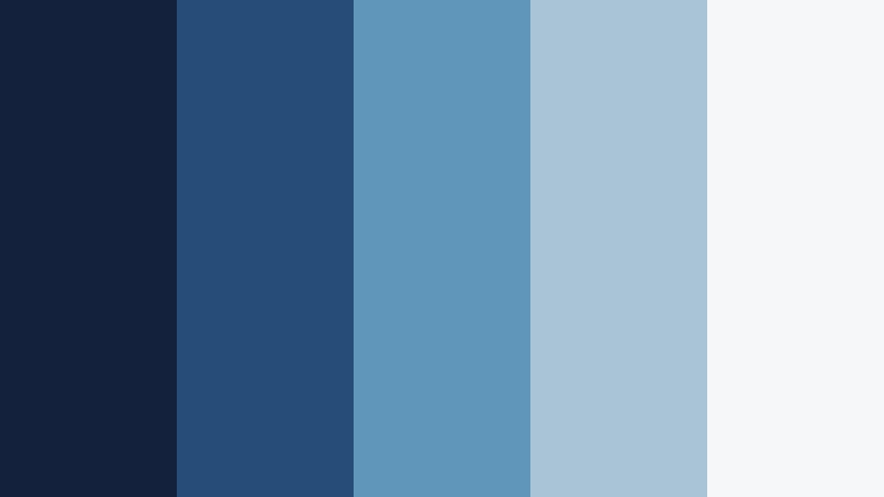 precision peak blue and silver financial advisor color color palette with hex codes
