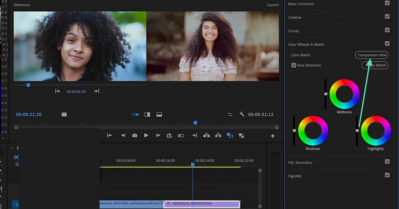 enable comparison view premiere