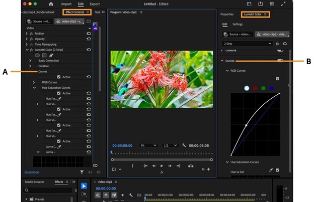 lumetri and curves premiere pro
