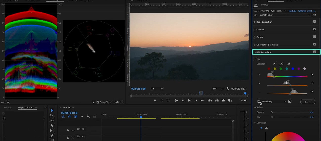 adjust hsl premiere pro