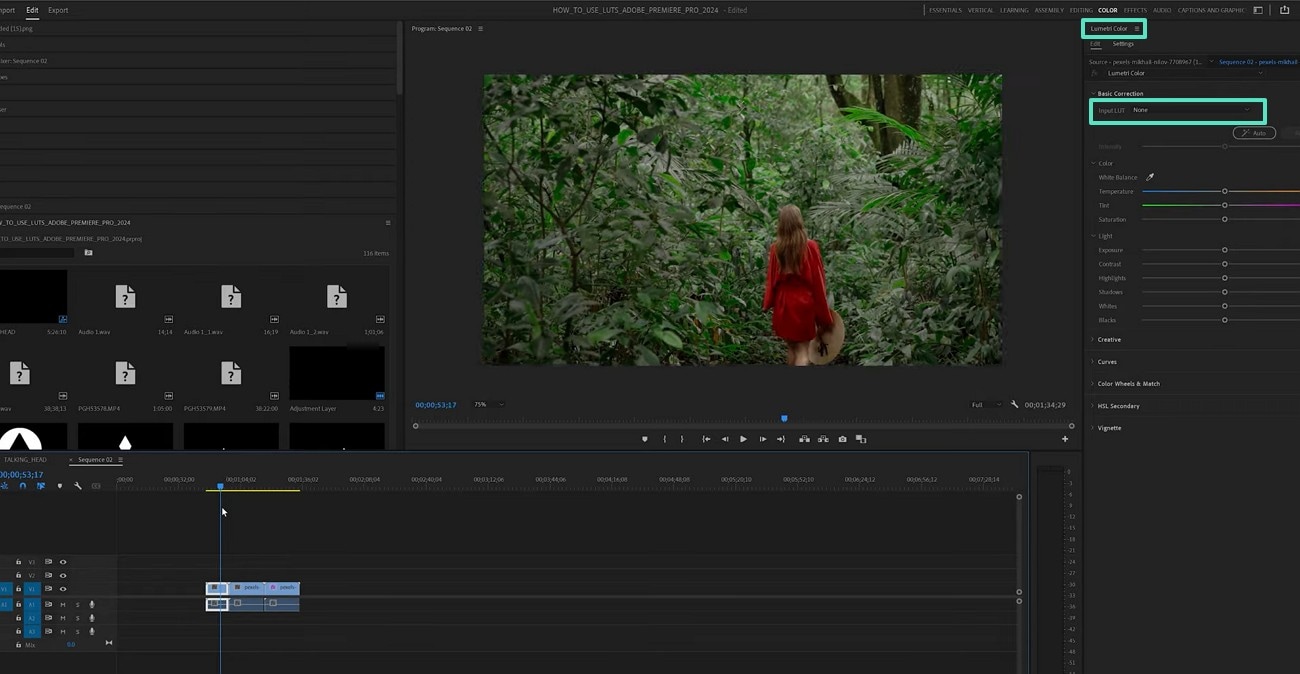 apply built in luts