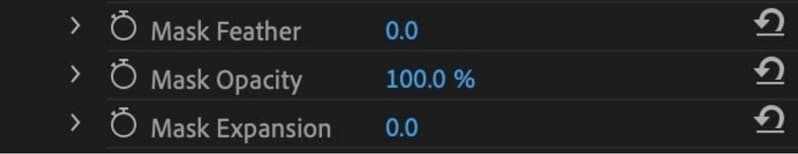 mask parameters and adjustments