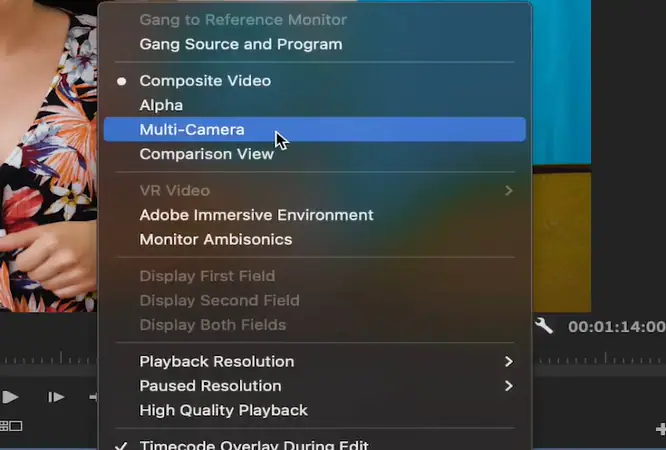 enable multi-camera editing in the program monitor