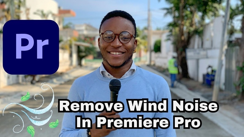 learning premiere pro remove wind noise