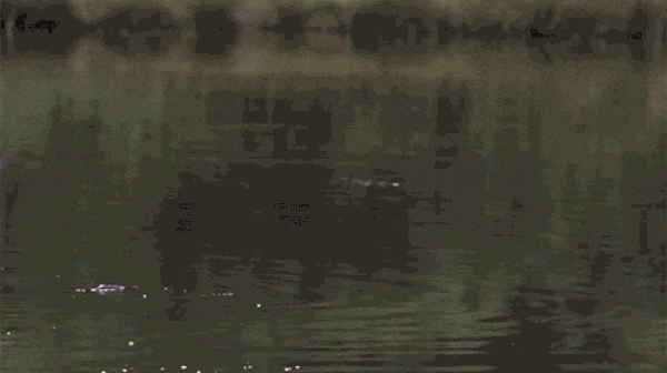 using optical flow for slow motion