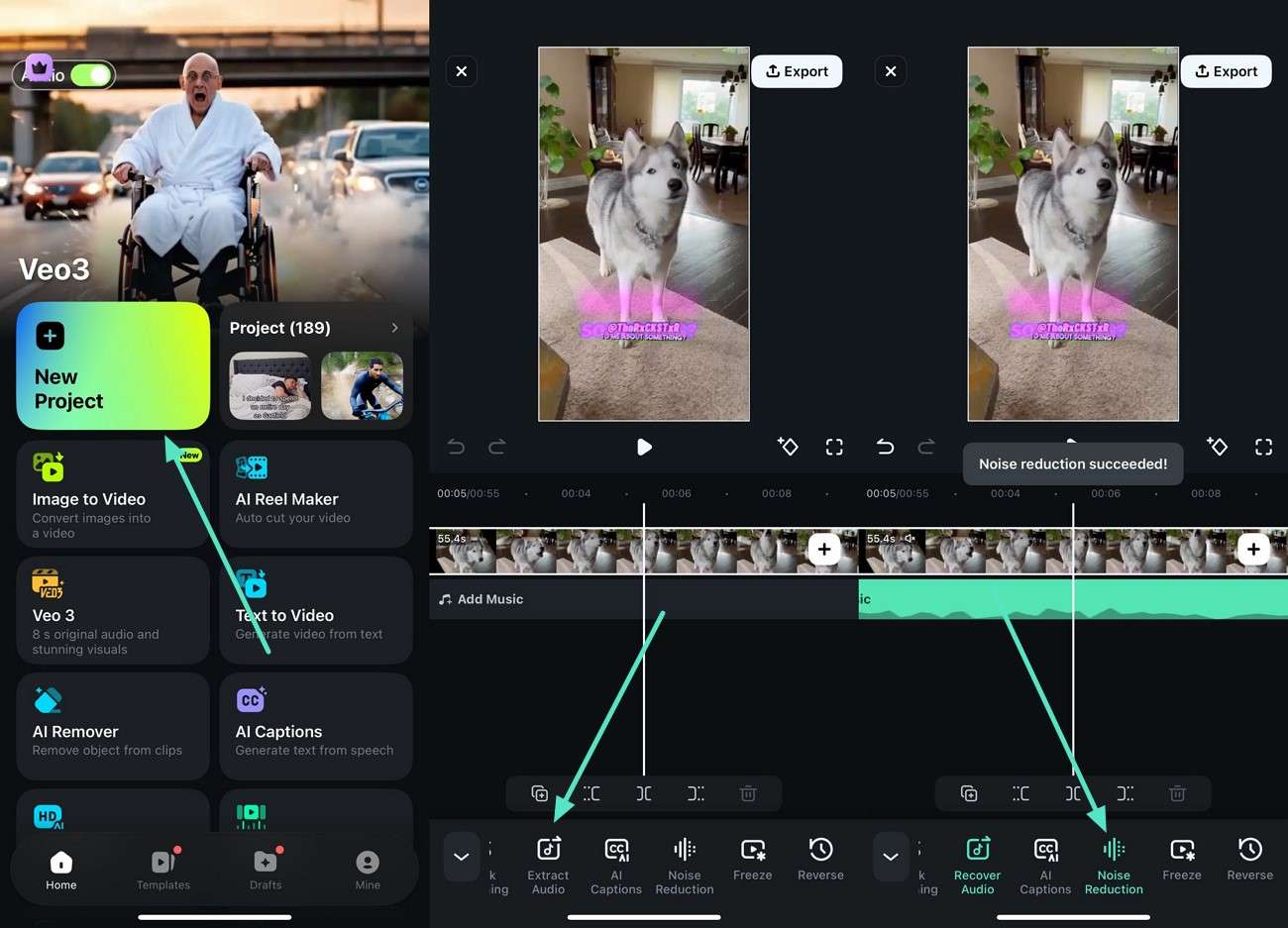 filmora app noise reduction