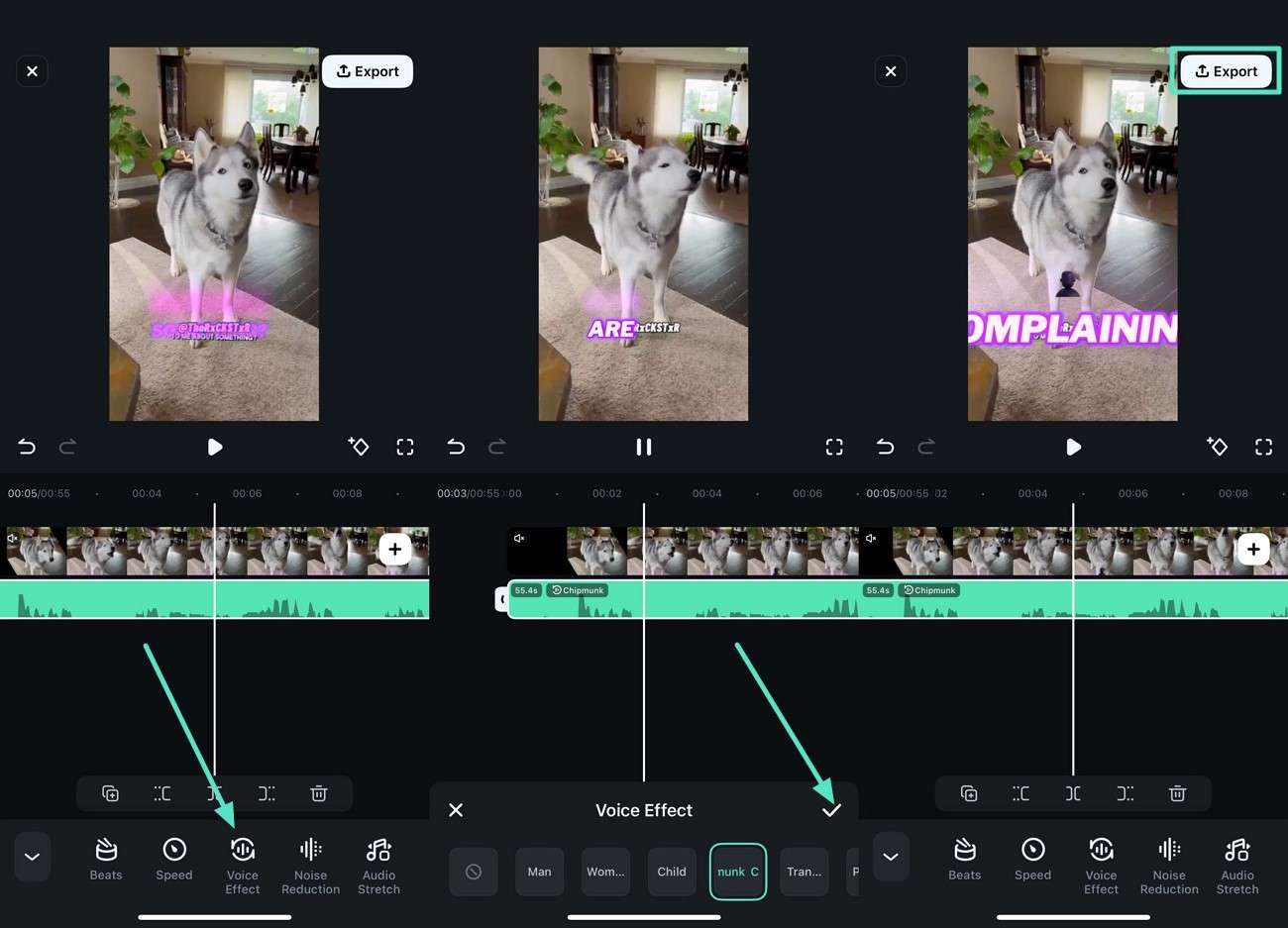 add voice effect before exporting