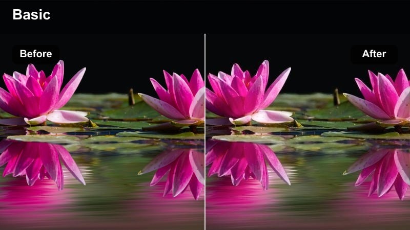 Close up profile of a person with one side of the face lit and the other in darkness.