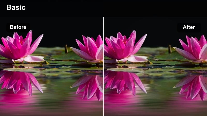 Creator recording an energetic Instagram Reel in a colorful room with punchy, saturated colors.