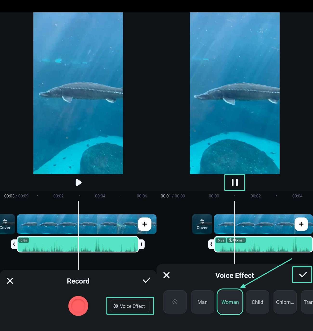 set voice effect filmora app