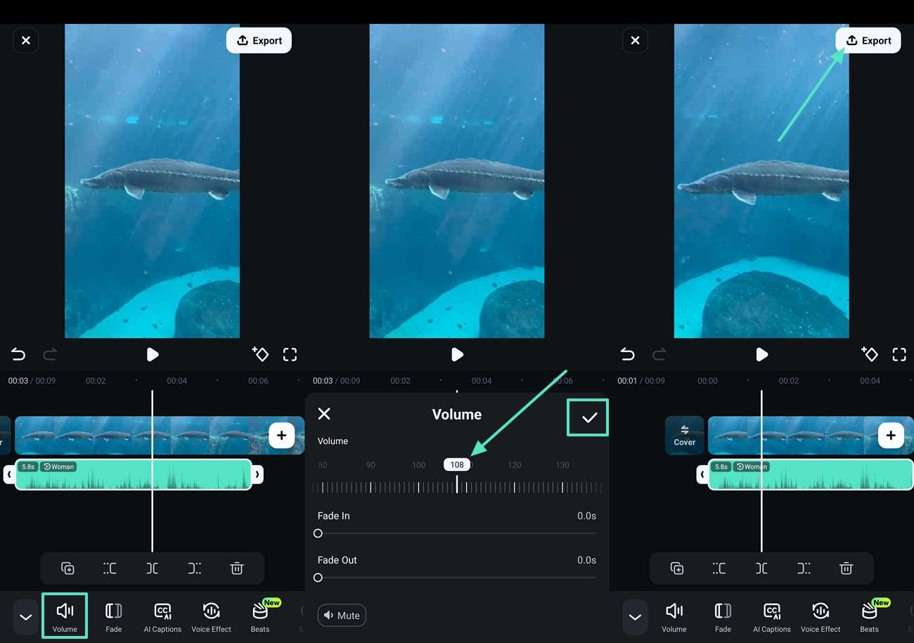 set volume level export video