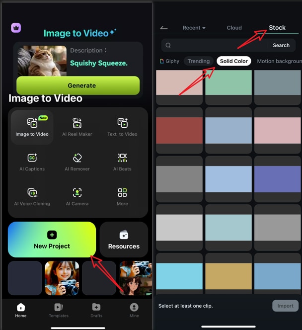 choose a solid color picture