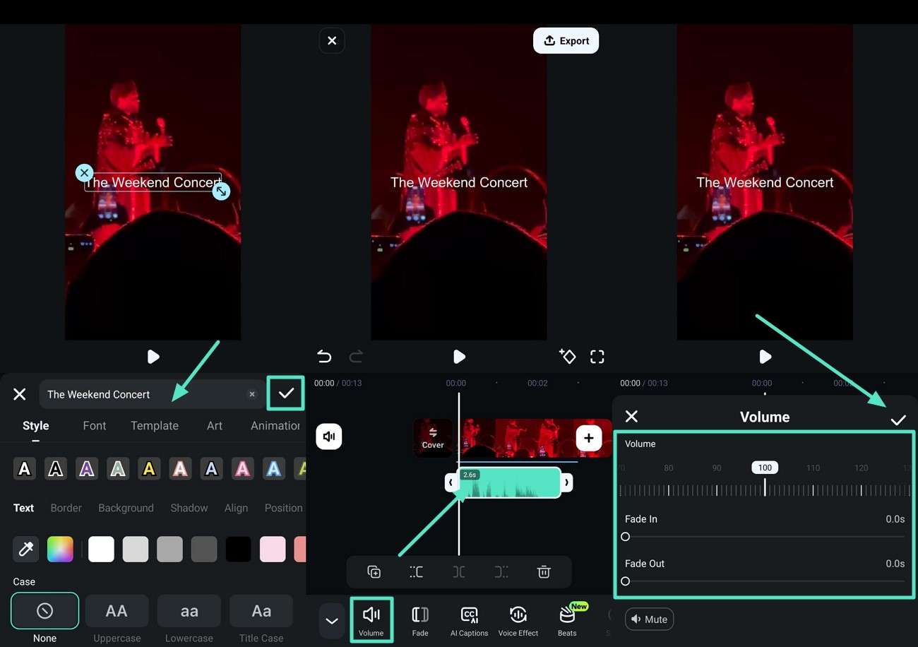 add text and adjust volume