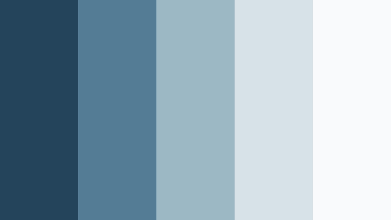 quiet prosperity blue and silver financial advisor color color palette with hex codes