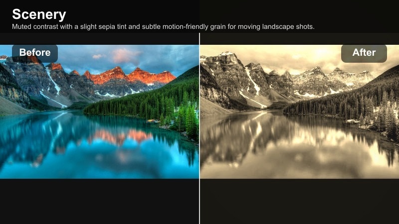 Landscape seen from train window with sepia-leaning film fade