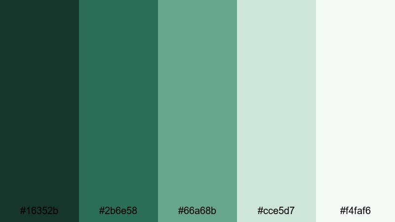 rain washed understory rainforest color palette with hex codes