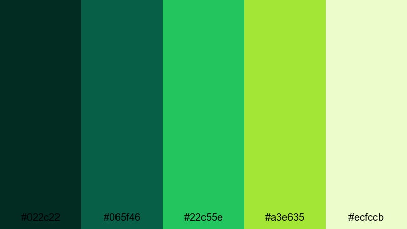 rainforest canopy drift dark green color palette with hex codes
