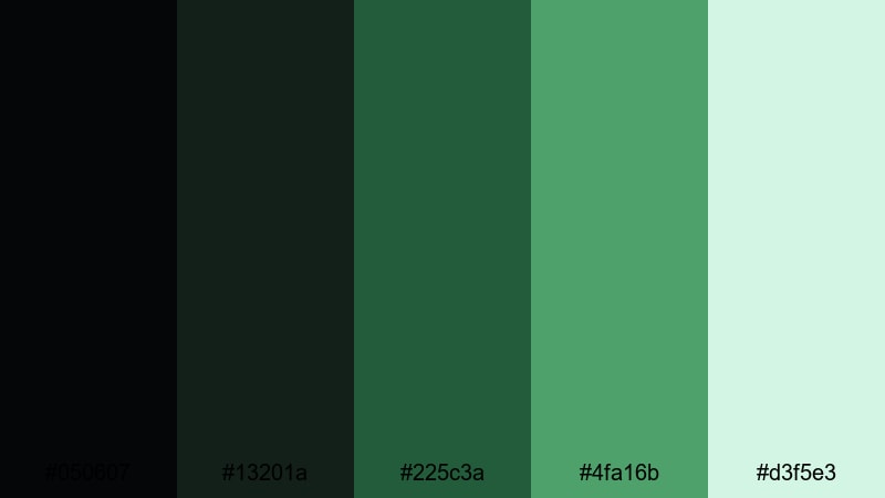 rainforest canopy mist black green color palette with hex codes