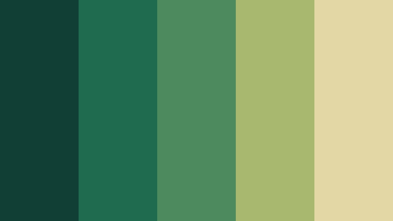 rainforest canopy nature color palette color palette with hex codes