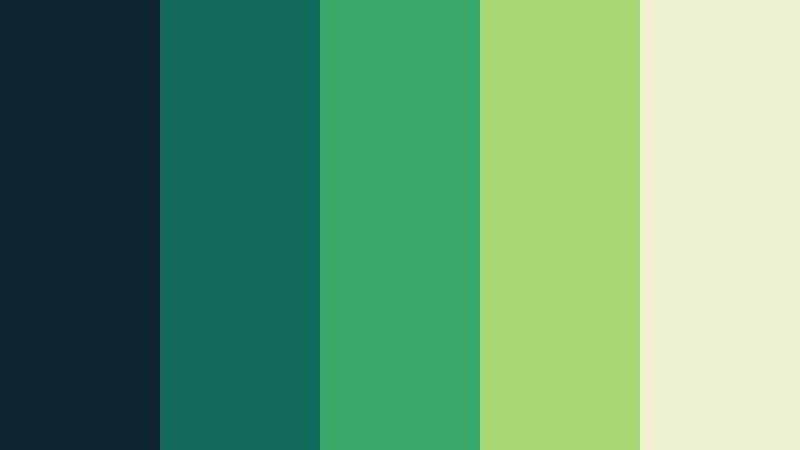 rainforest server navy and teal cloud platform color color palette with hex codes