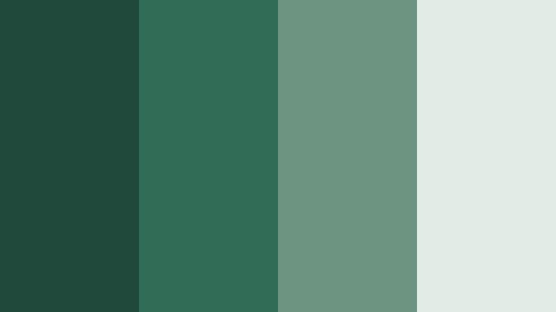 rainwashed cedar grove cypress green color palette with hex codes